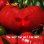 Cлепая 🍅
