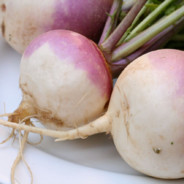 fek turnips