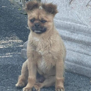 打你如同老奶奶擤鼻涕手拿把掐