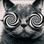 Hypno-Cat