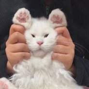 一直打到完全胜利