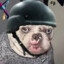 Arzka