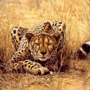Arkadi_rus_esp - steam id 76561197971236102
