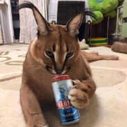 el batcat