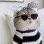 是小花猫呀