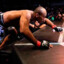 Jacare