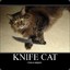 KnifeCat