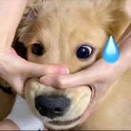 我是马文的弟弟马枪