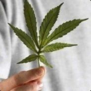 [DOBрbIu^_4e/loBek]