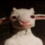 812