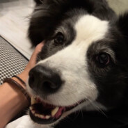 ZHUO - steam id 76561199167956394