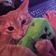 <Romet>,.,.,.,.,.,.,.,