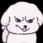 Bichon Del Fuego