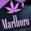 MarLBoro