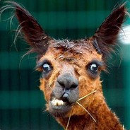 ☚✪FroG(Gabryś)Creazy✪☛