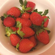 一个最萌的对手