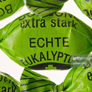 Eukalyptusbonbon