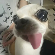 月亮不睡我不睡