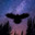 NoctisFalco