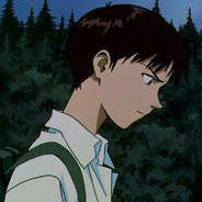 盘龙湾保安队长