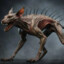 Chupacabra