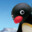 Noot Noot