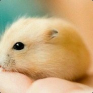 VAC BAN FOR NO REASON! RIP!