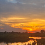 王中王牛逼肠wr