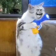 青青草原灰太狼