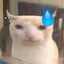 mikonn