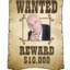 WANTED ☆☆☆☆☆