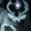 Venison