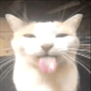 wzor3k avatar