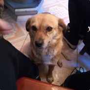 超凡super and 2Tap