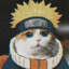 Naruto Cat