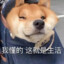 杭州的风吹不到济南