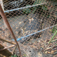 你先打我睡一下