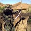 ПоДрЫвНиК