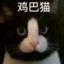 异眼丁真