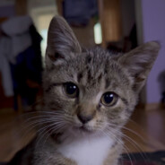 2112Luki