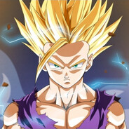 鮫 REQ1 Saiyajin - steam id 76561198168341827