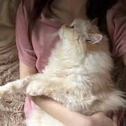 хуячи - steam id 76561199861349446