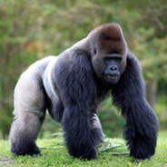 粉笔只有学校里有😭