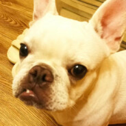 认真观察的M同学