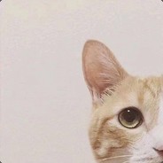 吴蓓蓓123