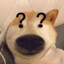 司马踏老鹰