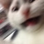 Its Lily Ew
