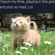 lowdose