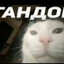 ĞǺŇĐØŇᴷᴼᵀ