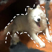 我大小便失禁看谁不爽